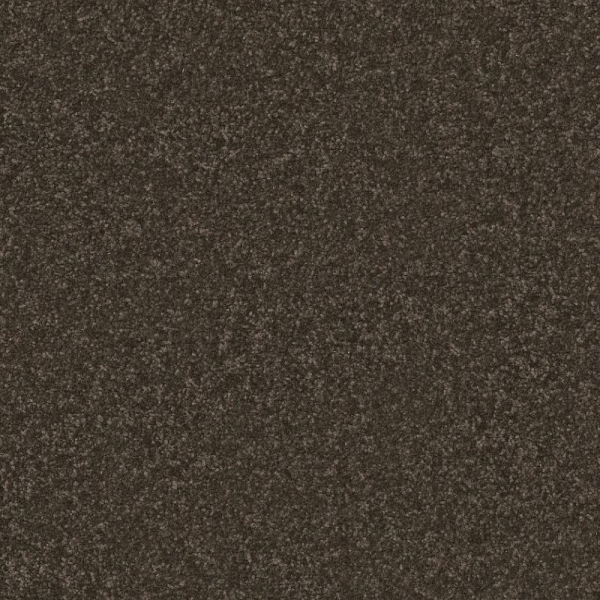 Shaw Floors Awaken Spirit II 12' Wood Grain SHAW