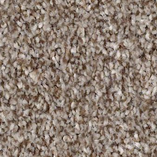 Shaw Floors Make It Mine I Fox Hallow SHAW