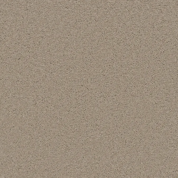 Phenix Carpets Achieve Gain PHENIX