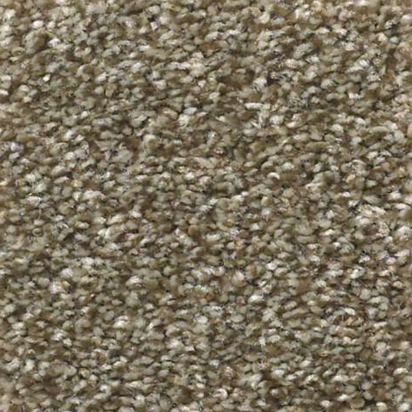 Shaw Floors Attainable Fox Hollow SHAW