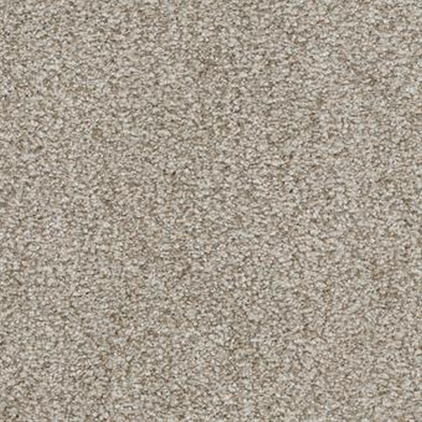 Masland Carpets Boca Raton Unwavering Masland