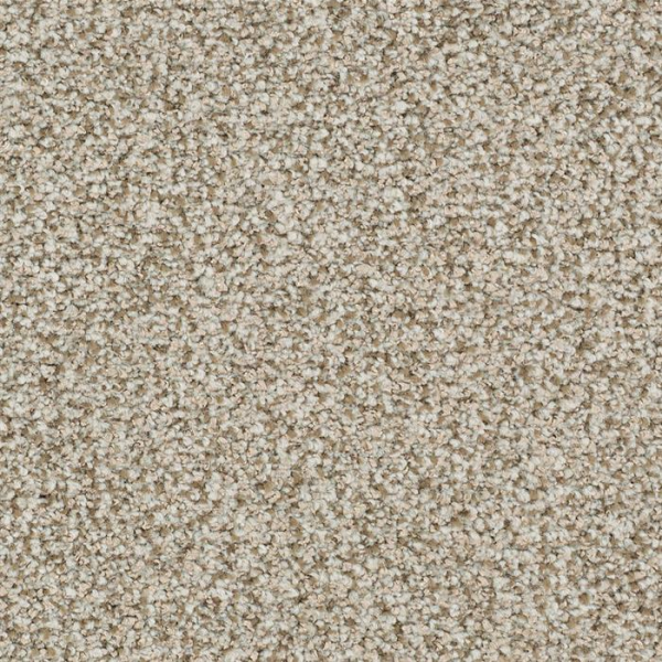 Masland Carpets St Augustine Unwavering Masland