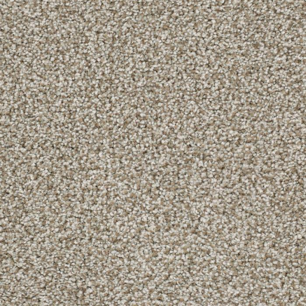 Masland Carpets Sunset Key Unwavering Masland