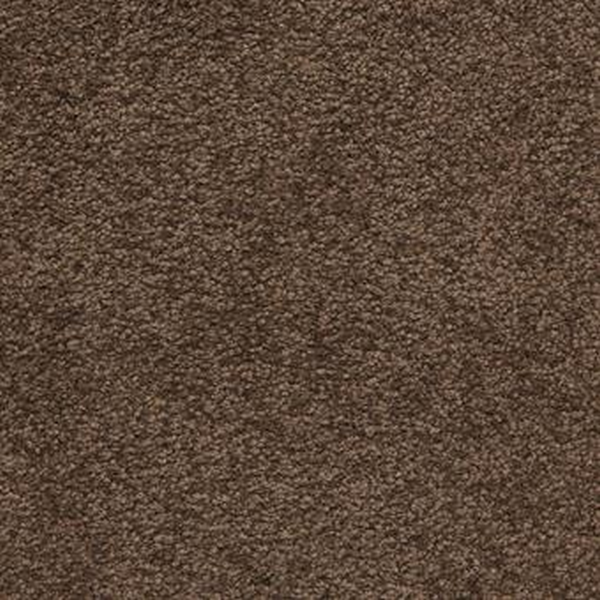 Masland Carpets Knockout Coffee Bean Masland