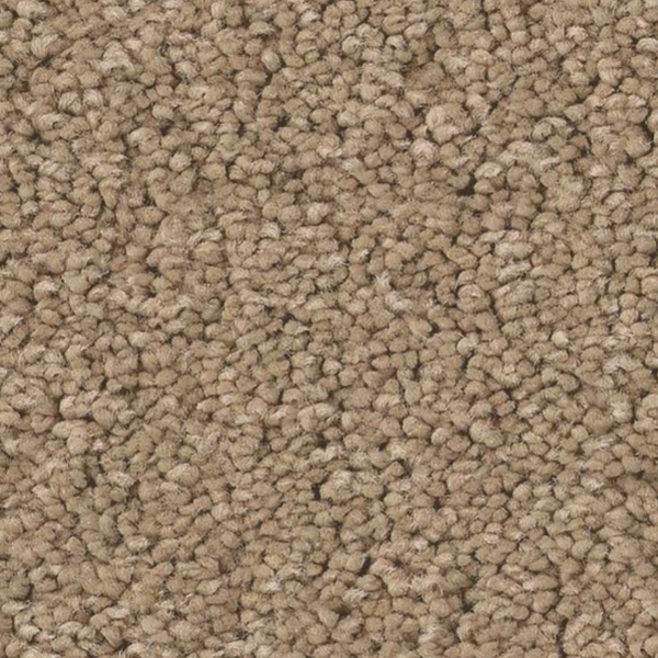 Tuftex Elegant Beauty Biscotti SHAW