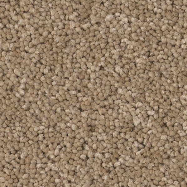 Tuftex Enduring Charm Biscotti SHAW