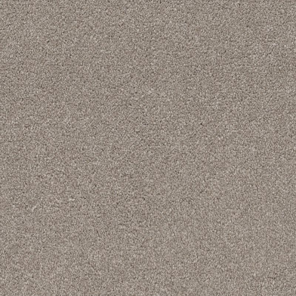 Shaw Floors Your Comfort II Back Patio SHAW