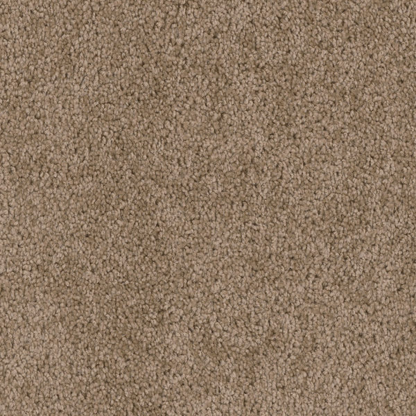 Dreamweaver Carpet Cedar Creek Dove DREAMWEAVER