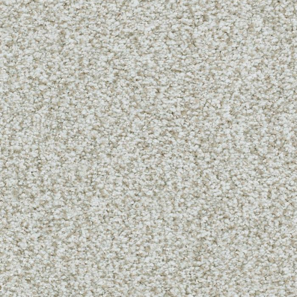 Masland Carpets St Augustine Endless Masland