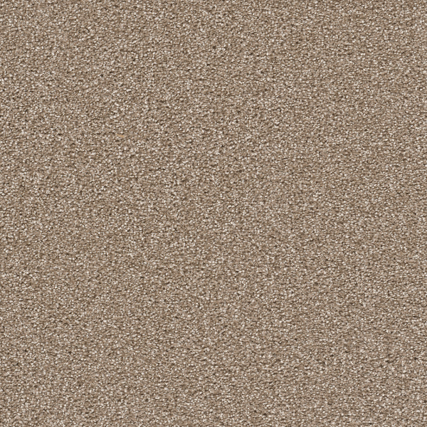 Dreamweaver Carpet Cape Cod Quail DREAMWEAVER