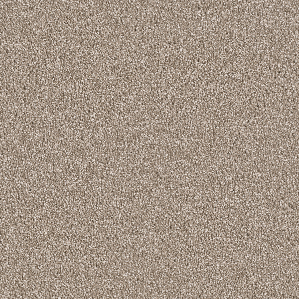 Dreamweaver Carpet East Hampton Quail DREAMWEAVER