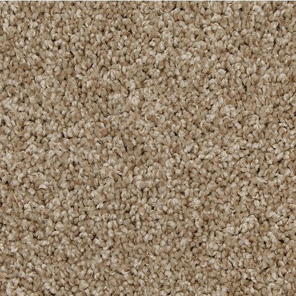 Mohawk Carpet Up The Ante Sandy Cove Mohawk