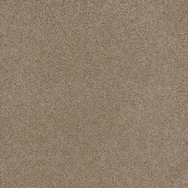 Dreamweaver Carpet Stunning Ginger DREAMWEAVER