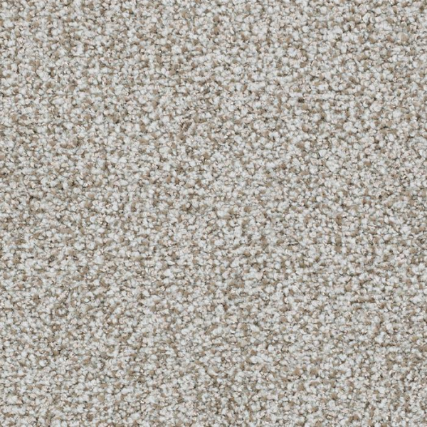 Masland Carpets St Augustine Steadfast Masland