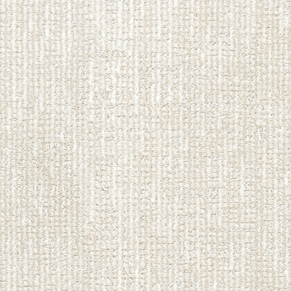 Dixie Home Tabby Sphynx