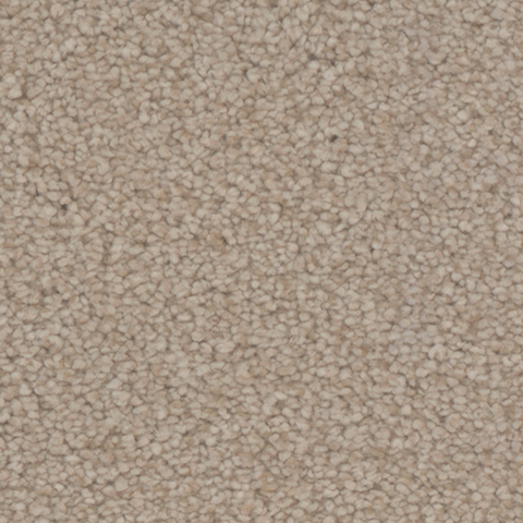 Tarkett Home Carpets Balmoral Borough LEXMARK