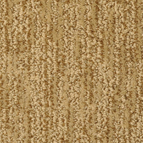 Masland Carpets Mesa Verde Maryville Masland