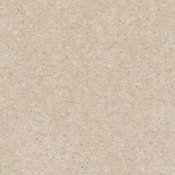 Mohawk Carpet Lakewood Drive I River Boat Mohawk