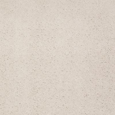 Aladdin Carpet Accelerator Plus Whitewash MISSING