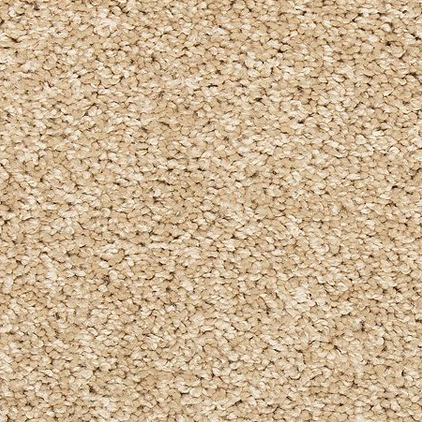Mohawk Carpet Vitalize I Bleached Almond Mohawk