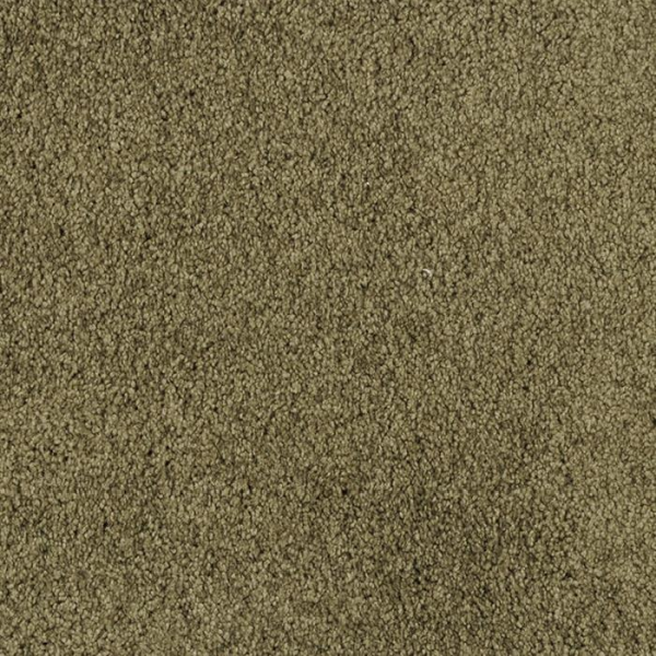 Masland Carpets Oceanside Cypress Masland