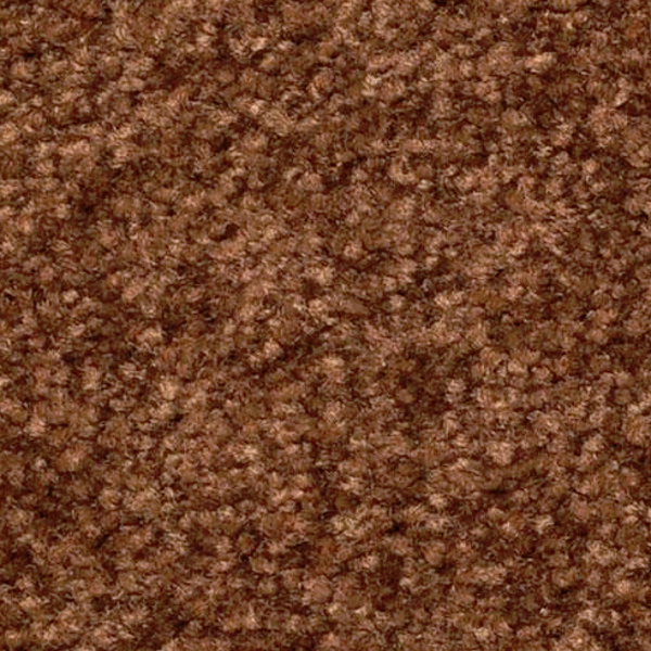 Dixie Home Inspiring Chocolate Chip