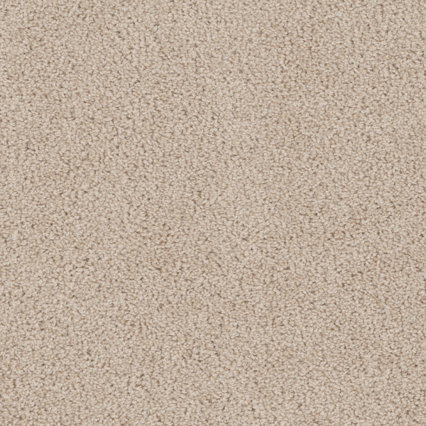 Dreamweaver Carpet Cedar Creek Eggshell DREAMWEAVER