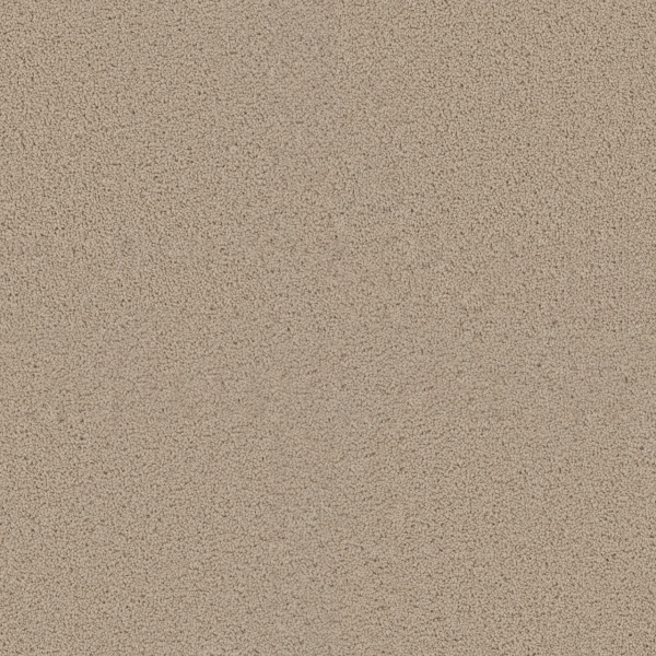 Dreamweaver Carpet Exceptional II Eggshell DREAMWEAVER
