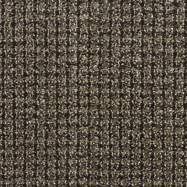 Masland Carpets Alpha Impulse Masland