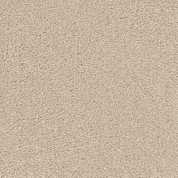 Dreamweaver Carpet Cape Cod Ivory DREAMWEAVER