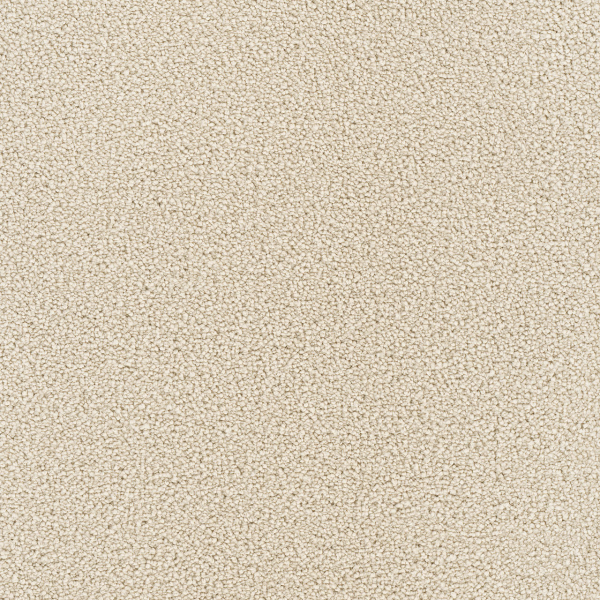 Dreamweaver Carpet Montauk Ivory DREAMWEAVER