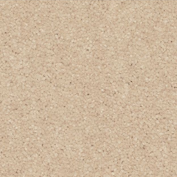 Mohawk Carpet Quality Feeling Scroll Mohawk