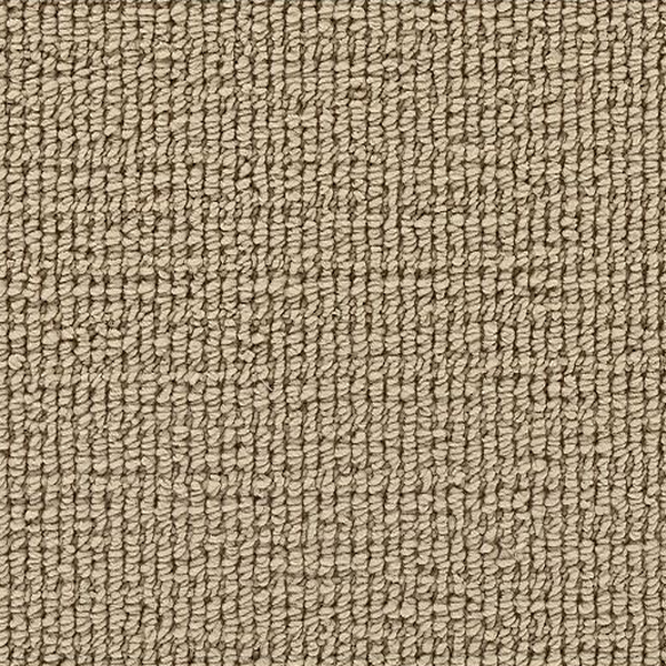 Mohawk Carpet Incredible Style Sandcastle Mohawk