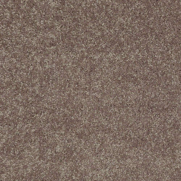 Shaw Floors Newbern Classic 12 Suede SHAW