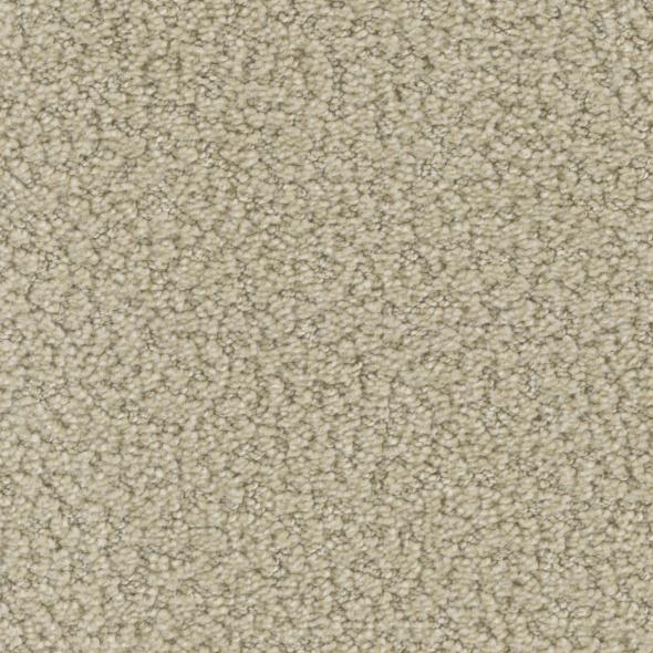 Phenix Carpets Crave Passion PHENIX