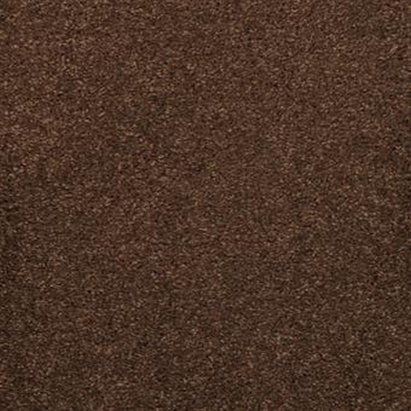 Masland Carpets Embrace Bison Masland