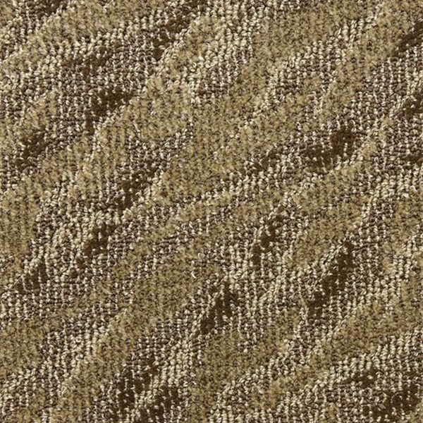 Masland Carpets Gamma Neuron Masland