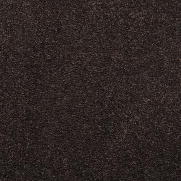 Masland Carpets Embrace Black Olive Masland