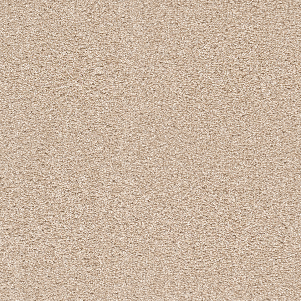 Dreamweaver Carpet Cape Cod Blush DREAMWEAVER