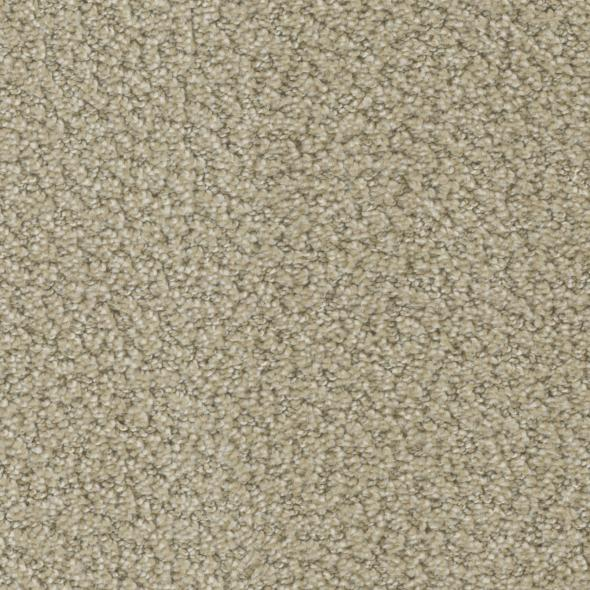 Phenix Carpets Crave Ambition PHENIX