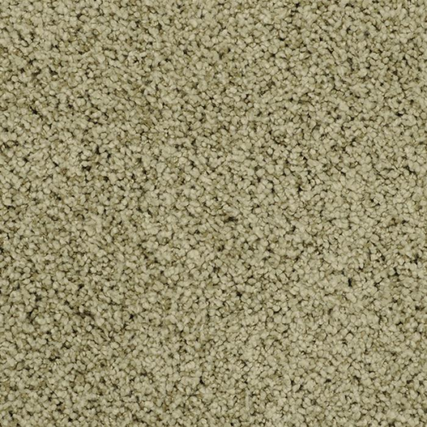 Masland Carpets Shangri-La Idyllic Masland