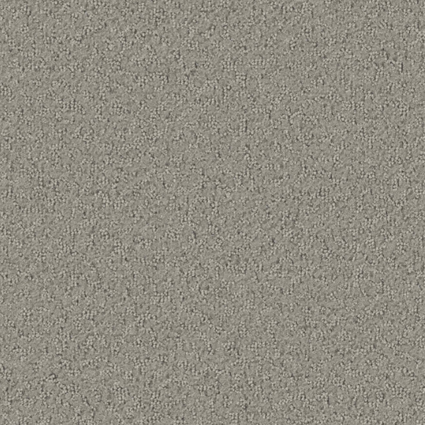 Tarkett Home Carpets Promenade Weathered LEXMARK