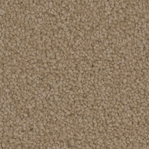 Tarkett Home Carpets Manchester Gallery LEXMARK