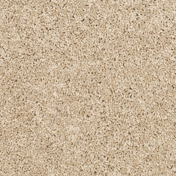 Mohawk Carpet Claws And Effect I Sandy Beach Mohawk