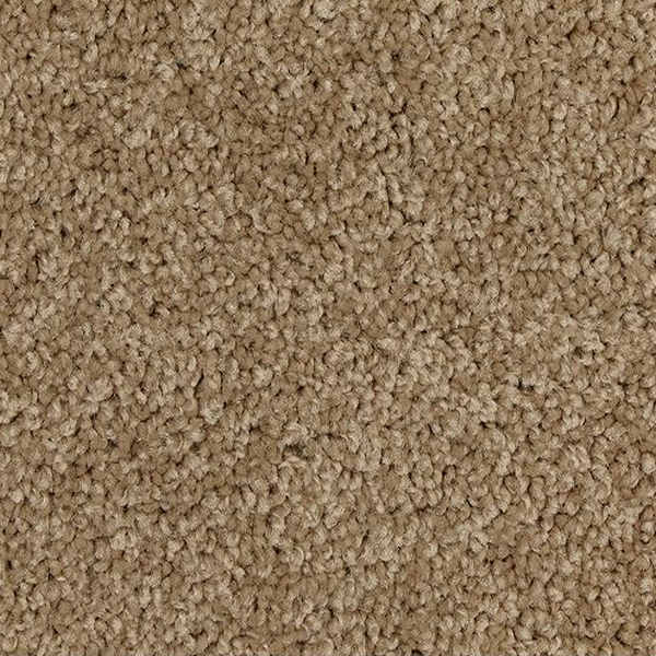 Mohawk Carpet Up The Ante Beachcomber Mohawk