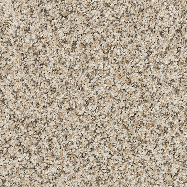 Mohawk Carpet Canine Chic Fawn Mohawk