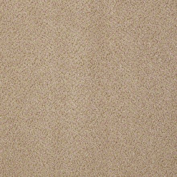 Philadelphia Commercial Prestige Authority Shaw