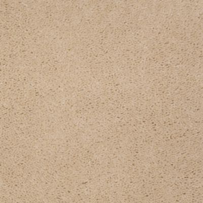 Aladdin Carpet Accelerator Plus Thistle MISSING