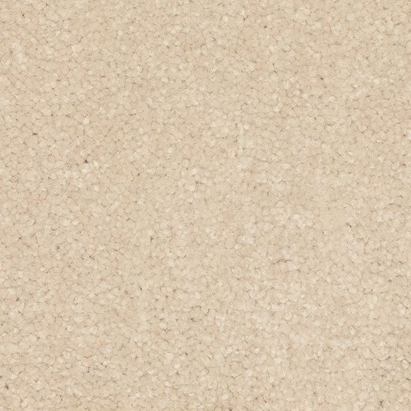 Mohawk Carpet Quality Feeling Shoescape Mohawk