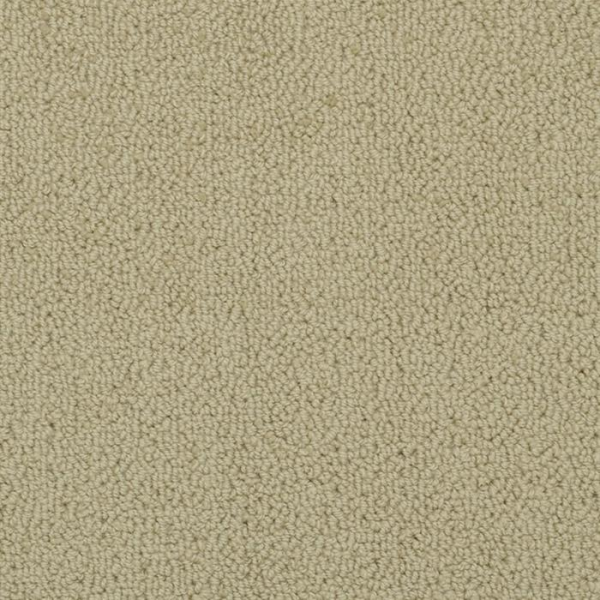 Masland Carpets Novellino Thistle Masland